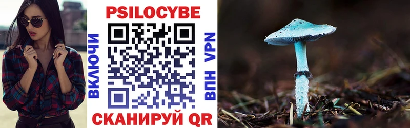 где продают   Абдулино  блэк спрут зеркало  Галлюциногенные грибы MAGIC MUSHROOMS 